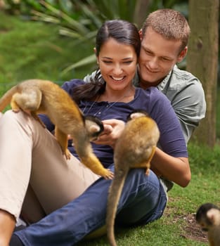 Monkey, animal and zoo with couple together for wildlife rescue, outdoor activity or interactive experience in nature. Conservation, date and happy people for bonding, holiday or travel at sanctuary.