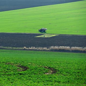 Tractor on the field in spring time. Green field in spring and tillage work. Concept for agriculture.