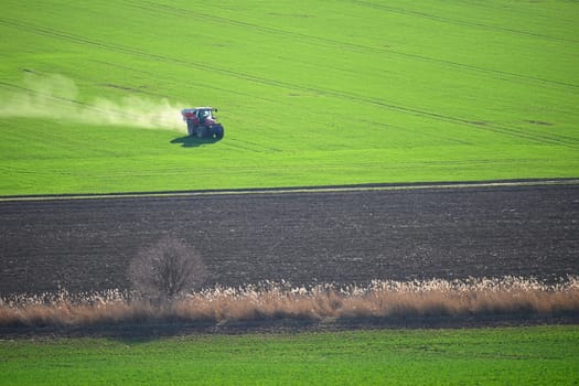 Tractor on the field in spring time. Green field in spring and tillage work. Concept for agriculture.