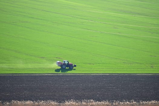 Tractor on the field in spring time. Green field in spring and tillage work. Concept for agriculture.