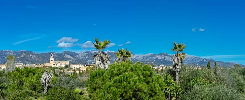 Expansive view of Consell village set against the stunning backdrop of the snow-capped Tramuntana.