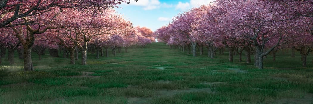 Tranquil rows of cherry blossom trees, their delicate pink flowers heralding the arrival of spring.