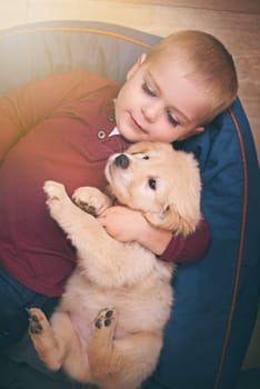 Child, dog and hug with home, floor and pet with love and care at house. Kid, puppy and golden retriever or sleepy labrador with embrace, bonding and together with high angle of animals or pets.