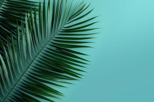 Understated Minimalistic background palm leaf. Fashion summer texture sun leaf. Generate Ai