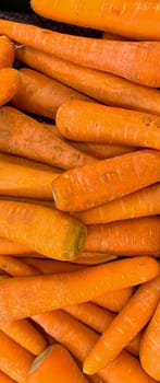 Macro photo of carrot spring food vegetable. Fresh big orange carrot texture background. Product Image of Carrot Root Vegetables