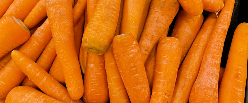 Macro photo of carrot spring food vegetable. Fresh big orange carrot texture background. Product Image of Carrot Root Vegetables