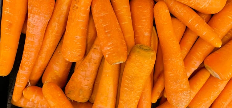 Macro photo of carrot spring food vegetable. Fresh big orange carrot texture background. Product Image of Carrot Root Vegetables