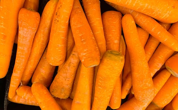 Macro photo of carrot spring food vegetable. Fresh big orange carrot texture background. Product Image of Carrot Root Vegetables