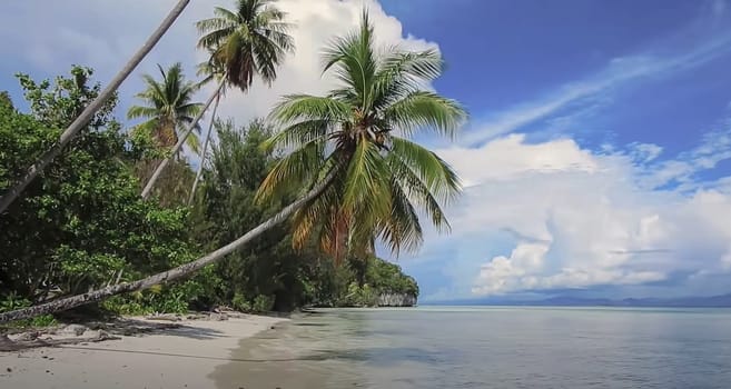 Tropical paradise beach with white sand and palm trees panoramic tourism tourism concept background