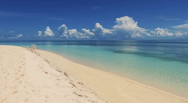 Tropical paradise beach with white sand and palm trees panoramic tourism tourism concept background