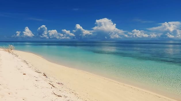 Tropical paradise beach with white sand and palm trees panoramic tourism tourism concept background