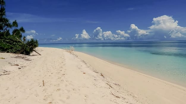 Tropical paradise beach with white sand and palm trees panoramic tourism tourism concept background