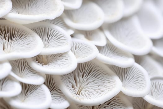 Organic White macro mushrooms food. Organic fungus. Generate Ai