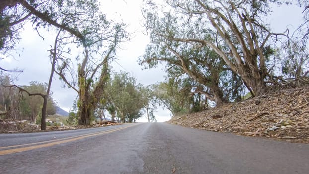 In this serene winter scene, a vehicle carefully makes its way along Los Osos Valley Road and Pecho Valley Road within Montana de Oro State Park.