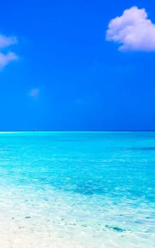 Natural tropical sandbank islands with color gradient in the water Madivaru and Finolhu in Rasdhoo Atoll Maldives.