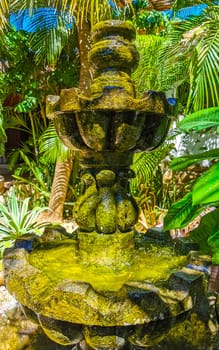 Nostalgic green fountain in the garden with moss in Zicatela Puerto Escondido Oaxaca Mexico.