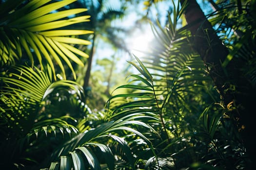 Photo of blue sky through tropical leaves. Beautiful tropical background.