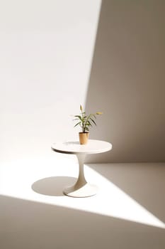 Minimalist interior with a plant on a white table casting shadows.