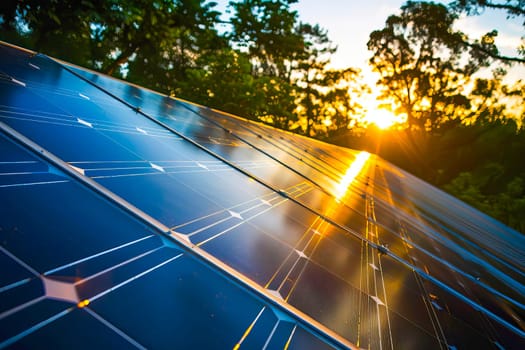 A solar panel with the setting sun behind it, surrounded by green trees.