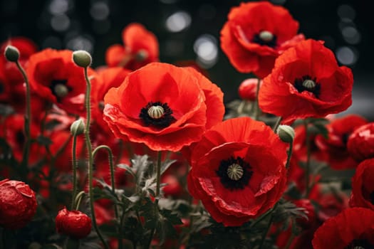 Radiant Red poppy flowers. Meadow nature. Generate Ai