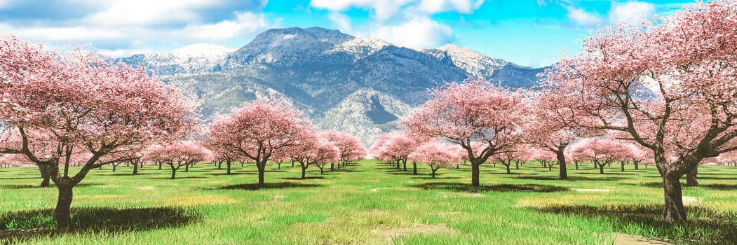 Endless rows of cherry blossoms in bloom with a stunning mountain range rising in the distance.