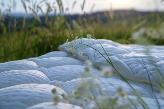 A white mattress rests on the grass in a grassland landscape, surrounded by terrestrial plants and morning dew