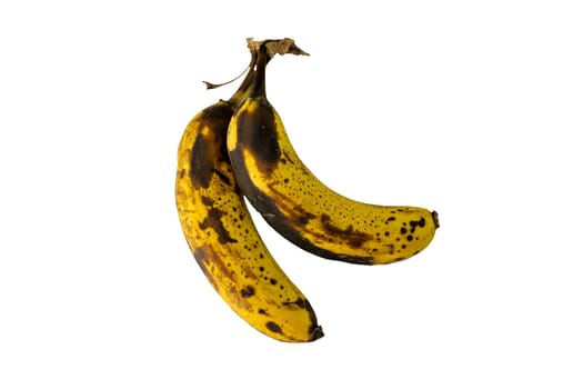 Old and overripe bananas on an isolated white background
