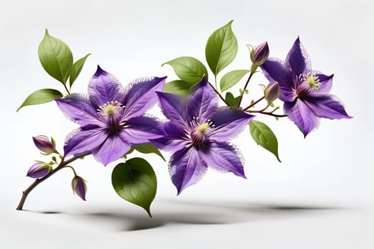 Branch with clematis flowers. AI generated image.