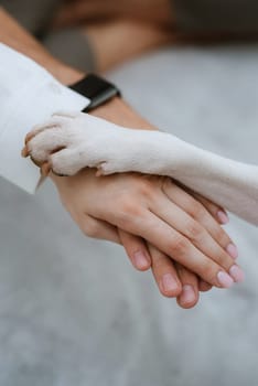 animal paws and people's hands crossed in a friendly handshake