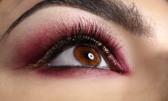 Closeup of beautiful female eye with bright professional makeup. Evening makeup concept