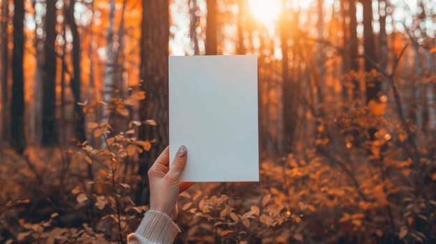 A person holding a blank piece of paper in front of trees