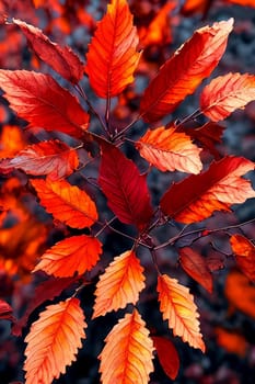 Autumn Elegance. Rich colors and textures of fall foliage at sunset, capturing the intricate details of individual leaves as they glow in the fading light of the day.