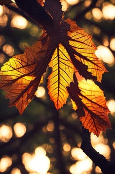 Forest Whispers. Single leaf in a dark forest as the setting sun filters through the canopy, highlighting the intricate veins and textures in a magical play of light and shadow.