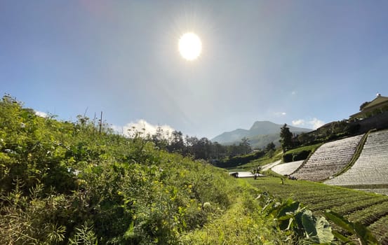 Beautiful panoramic view of the mountain and green fields, lovely landscape for backgrounds, mountainous area of Java island Indonesia