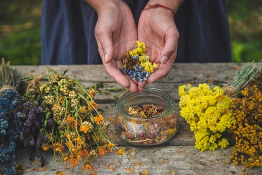 A woman holds medicinal herbs in her hands. Selective focus. Nature.