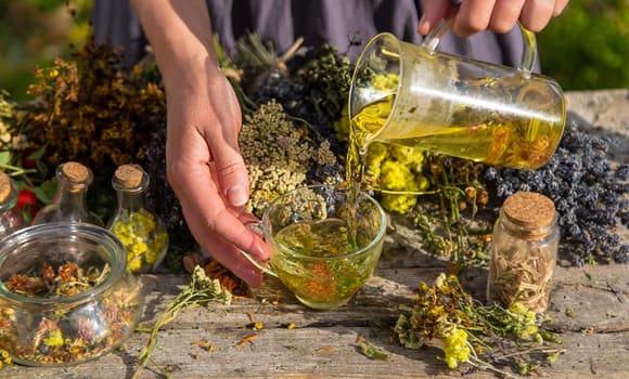 A woman brews herbal tea. Selective focus. Nature.