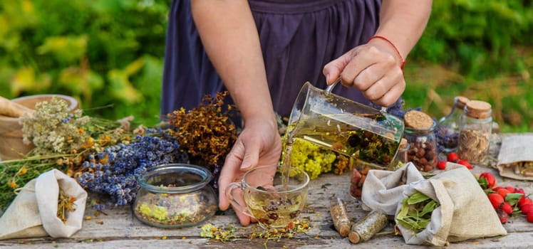 woman brews herbal tea. Selective focus. Nature.