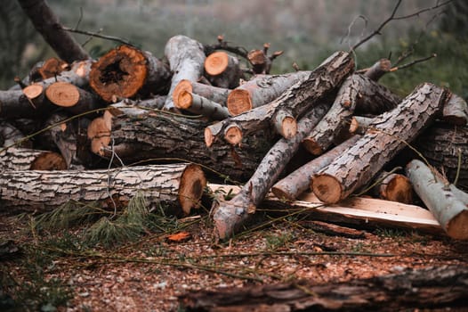 Cut trees of construction wood after deforestation stacked as woodpile. Lumber, timber industry, sustainable resources on wood log and tree carcass. Still life. A pile of logs and firewood in forest