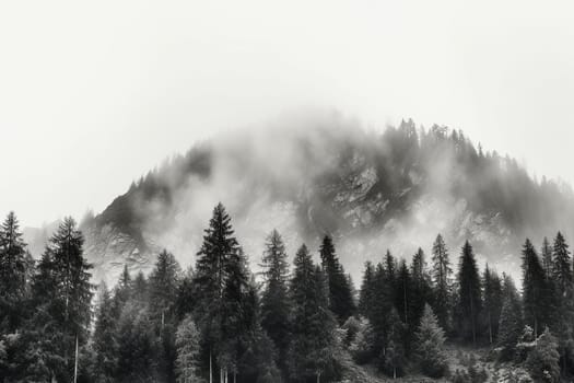 Monochrome image of misty forest with mountain backdrop