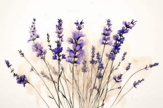 A collection of lavender flowers against a pale background.