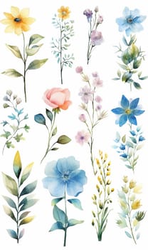 Assortment of delicate watercolor flowers with various colors