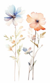 Two watercolor flowers with delicate petals and stems.