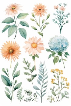 Assortment of watercolor botanical illustrations, including various flowers and foliage.