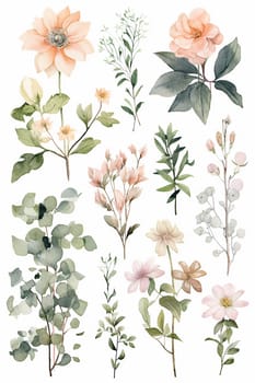 A collection of watercolor illustrations of various delicate flowers and greenery.