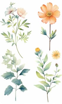 Collection of various watercolor flowers with stems and leaves.