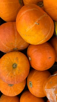 Decorative orange pumpkins on display at a farmers market in Java. Orange decorative pumpkin in the sun. Harvest and Thanksgiving concept.