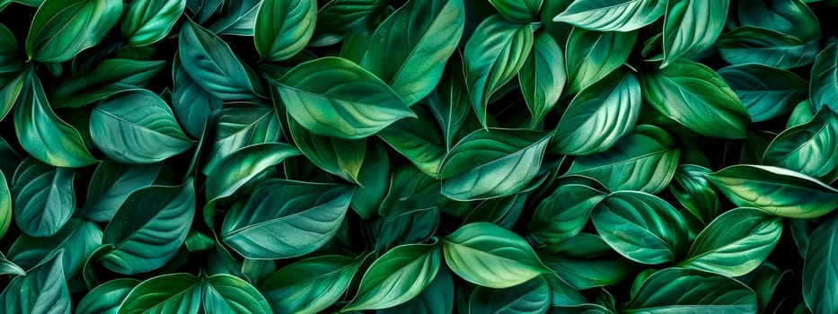 Full frame of dense, vibrant green leaves, showcasing natural patterns and textures