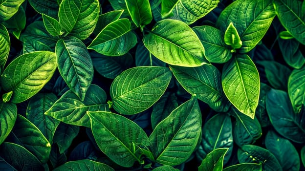 Macro shot of vibrant green leaves creating a natural textured backdrop