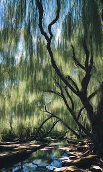 Whispering Willow Grove. Beneath ancient willow trees, their long branches trailing in a silver river, tiny doors appear. Fairies, sprites, and woodland creatures gather here, sharing secrets and laughter.