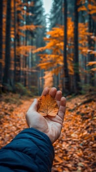 A person holding a leaf in their hand with trees behind them
